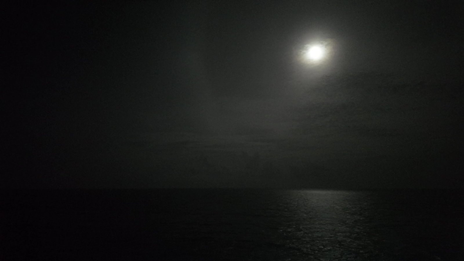 Night